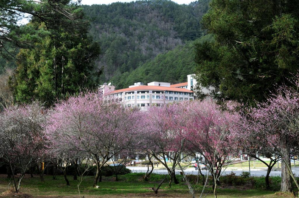 Hoya Resort, Wuling Heping  Eksteriør bilde